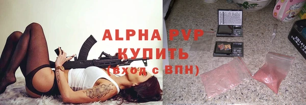 прущие грибы Горно-Алтайск