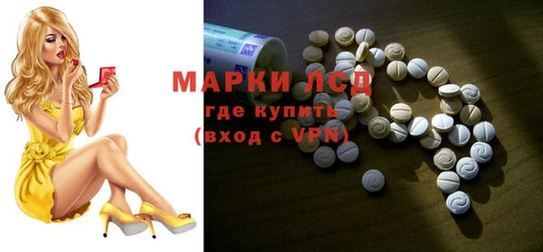 сатива Верея