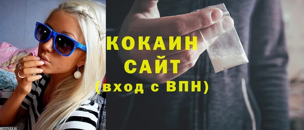 прущие грибы Горно-Алтайск