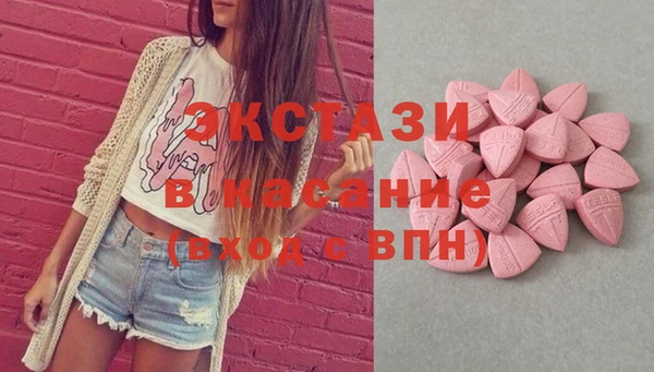прущие грибы Вязьма