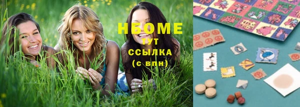 ECSTASY Горняк