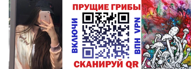 Галлюциногенные грибы мицелий  Зверево 